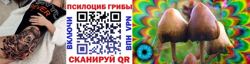 Псилоцибиновые грибы мухоморы  где найти наркотики  Адыгейск 